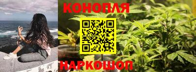 соль ск Пугачёв
