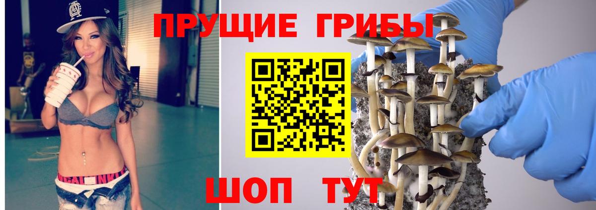 Псилоцибиновые грибы мицелий Реж
